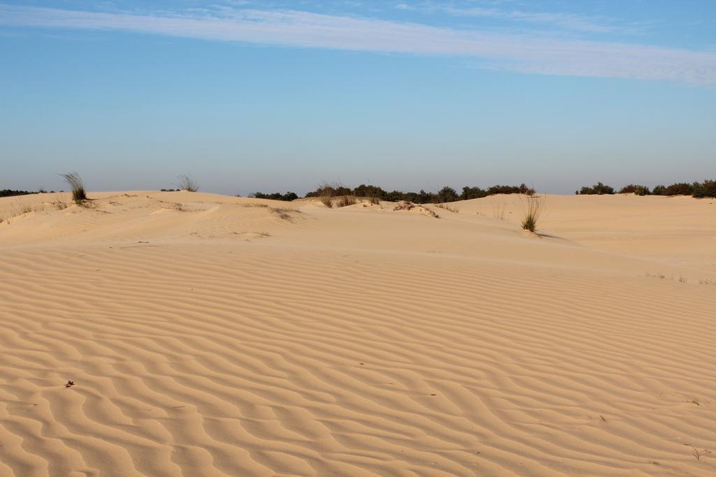 Natuurpoort Van Loon Loon op Zand ภายนอก รูปภาพ